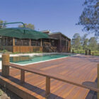 Spotted gum