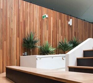 Spotted Gum Shiplap